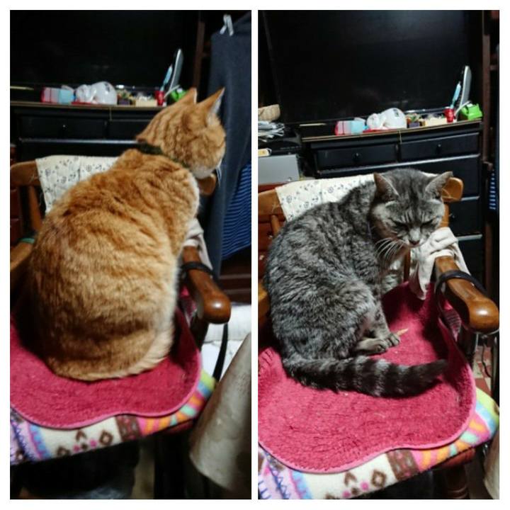 2b88be2e 1e98 4216 9290 4bfd3c4d86bb 1581455000185