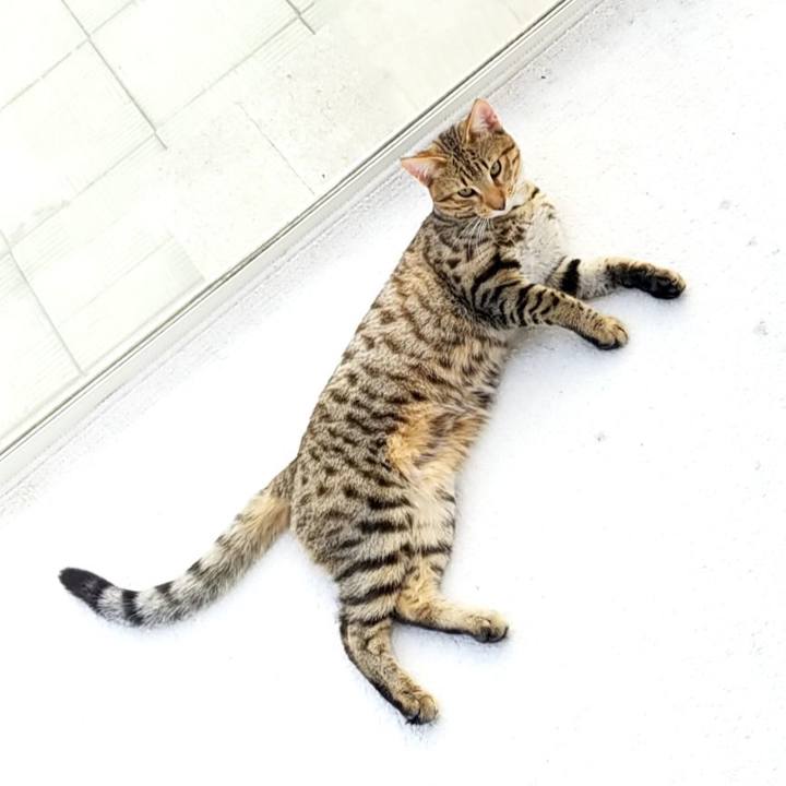 2b88ebe8 e964 45f8 9990 3e2cdc9296c4 1569654896778