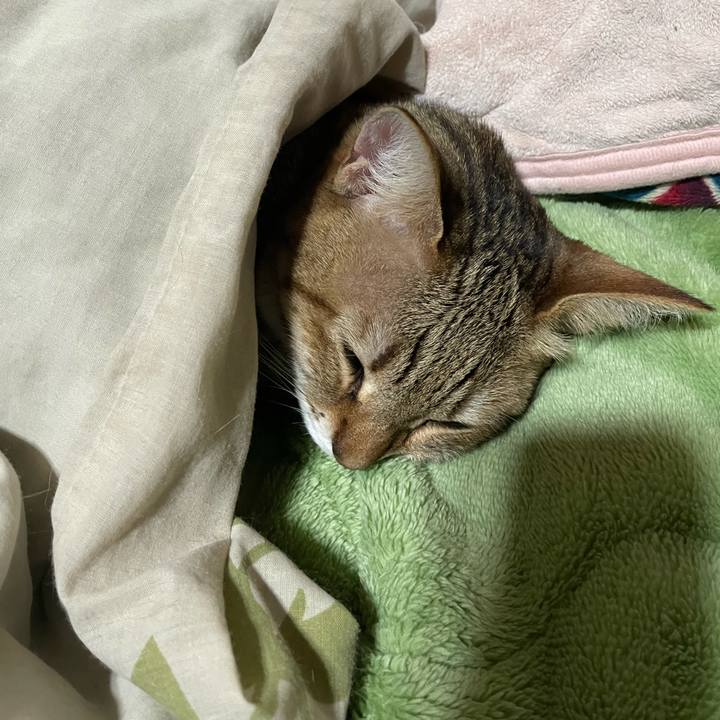 2b88f084 a9fd 4f4b 9ab6 b2a7cea945ca 1674524164557