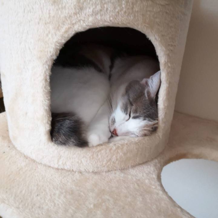 2b88f778 71ec 4807 b28f 2c0a04e4e5e5 1600000202342