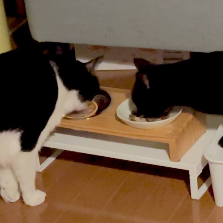 2b88f98b 34fd 46e0 90ba 21a2ca7ddf58 1756207948972