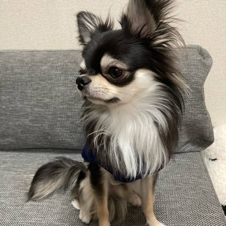 2b892aed adce 439c bb98 4e96b1f48283 1615641769044