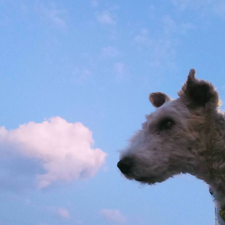 2b8939d9 c9fa 42d7 959f 08d6399db5ac 1654771827973