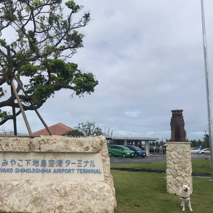 2b89576d 64c2 45cc 8b63 bc78efa09031 1568948609857