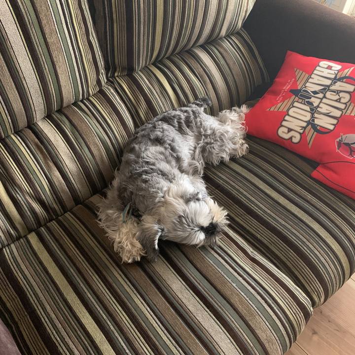 2b897e6c 1977 4c99 b214 cd2573251a1d 1589334304797