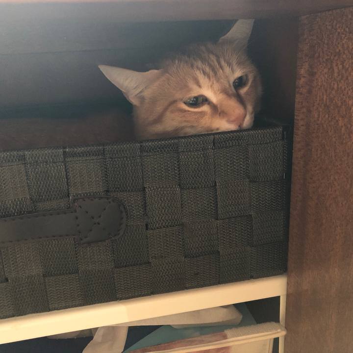 2b89a840 81c9 4071 8c80 ca365198f59c 1621380984424