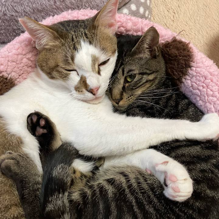 2b89f013 7f41 408b acf1 421dc5ac08f7 1615422436459