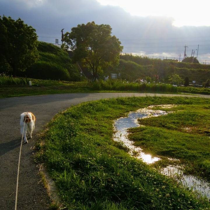 2b8a3cbc e0d8 4a3d 97e2 c0cfde485598 1559994088037