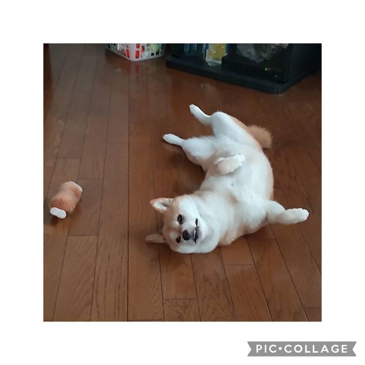 2b8a42e2 7378 4101 8f61 1511d405e362 1754810196902