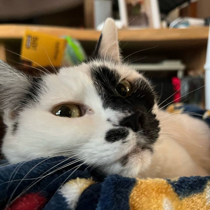 2b8a6fc4 4a7c 45f1 a60d 42a6f74a13dd 1772463709847