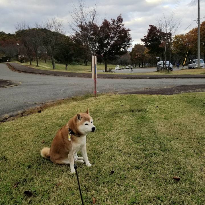 2b8a8f88 7c96 4cf9 a54d e483ab5b3adb 1667112450508