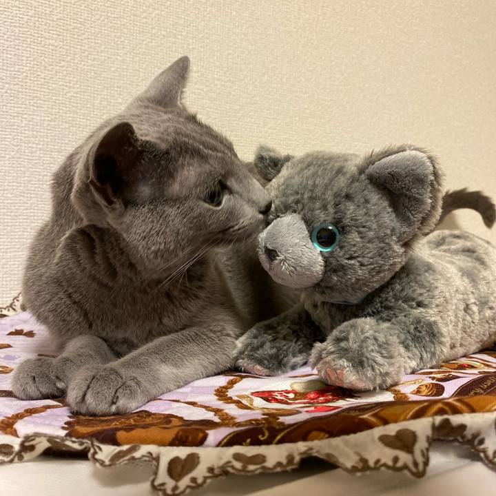 2b8a9986 d066 48b9 9b35 6049b6eebb16 1683381548771