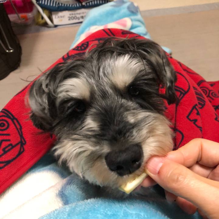 2b8aa76f 67c2 4fc6 8311 1b7104ae01a8 1641566181012