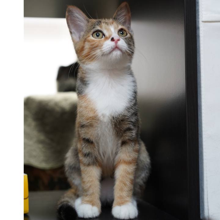 2b8ac6e9 1eff 4b1e 98f4 754918cb5f8a 1570752391542