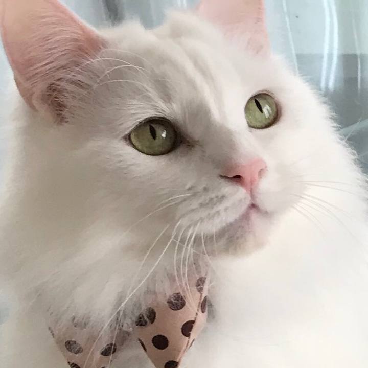 2b8acaa7 3f06 4a98 87c5 c4d605dc5d56 1582170070332