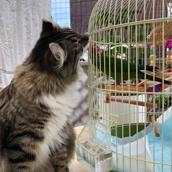 2b8acff8 1dd9 4039 9a9f 1fbe9f3ffa49 1531377579285