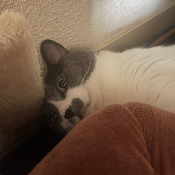 2b8b014e d12d 47e5 b203 aab8fac21c1d 1693267628127