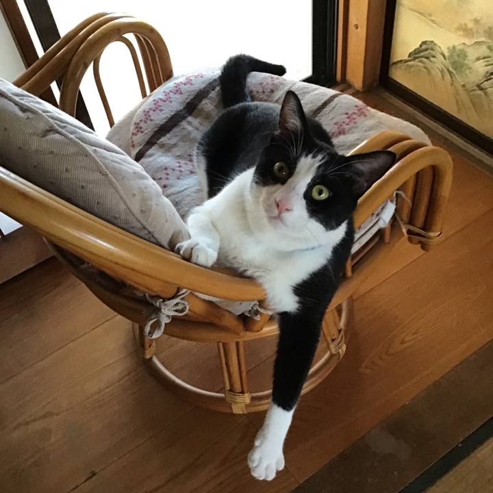 2b8b382d a4b1 4f76 b859 41c56d6a83b5 1691671332331