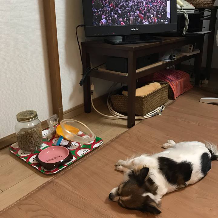 2b8b5edf 40d4 4758 923c dc9a0773388f 1546268038679