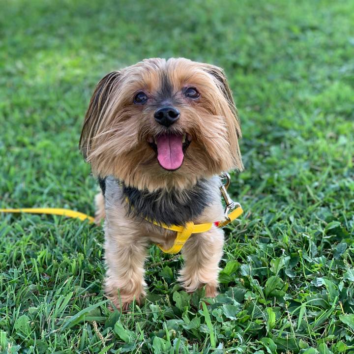 2b8b7779 3061 4034 a1ff 75dbb148de81 1599612396080