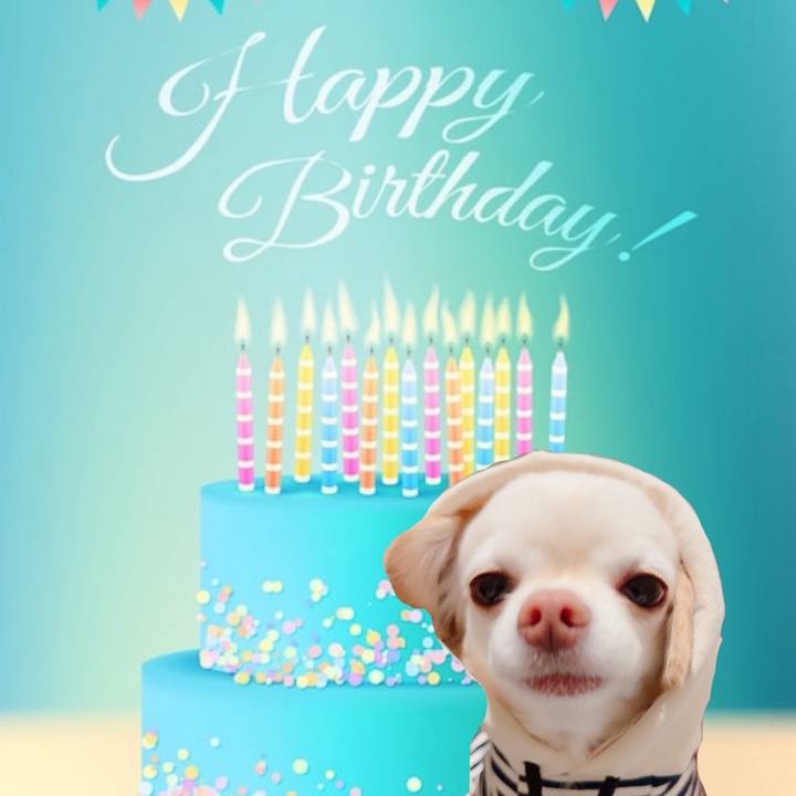 2b8b7969 25e6 4c39 9466 8a0df51499a4 1706606387186