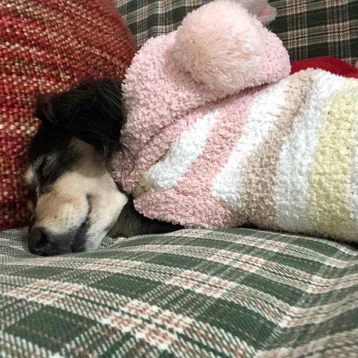 2b8ba16c 8261 4c69 a6e6 01776f91b5db 1609080885419