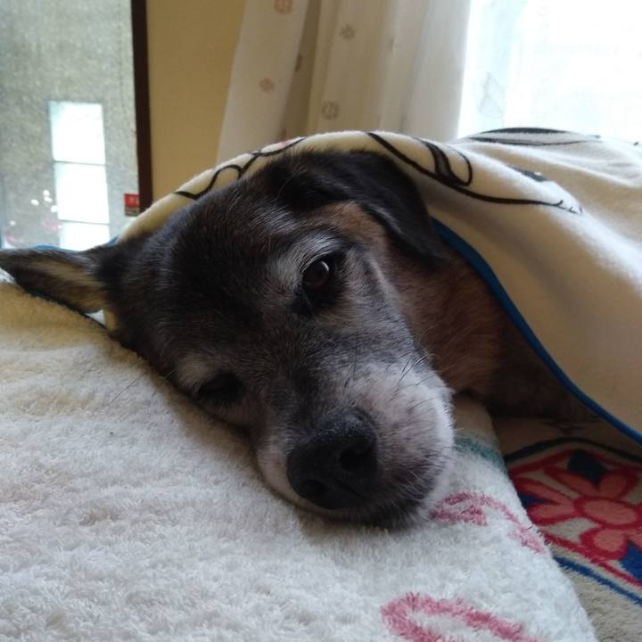 2b8bbc22 d50e 4833 9128 0d1237ac9ed0 1575587756257