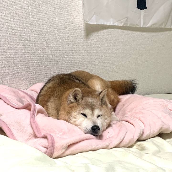 2b8bd46c b133 4707 9412 21c2b1fa77d5 1670853256888