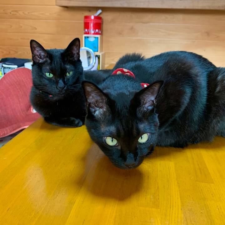 2b8bf780 bc95 4647 bff9 6052aff49d34 1574477367661