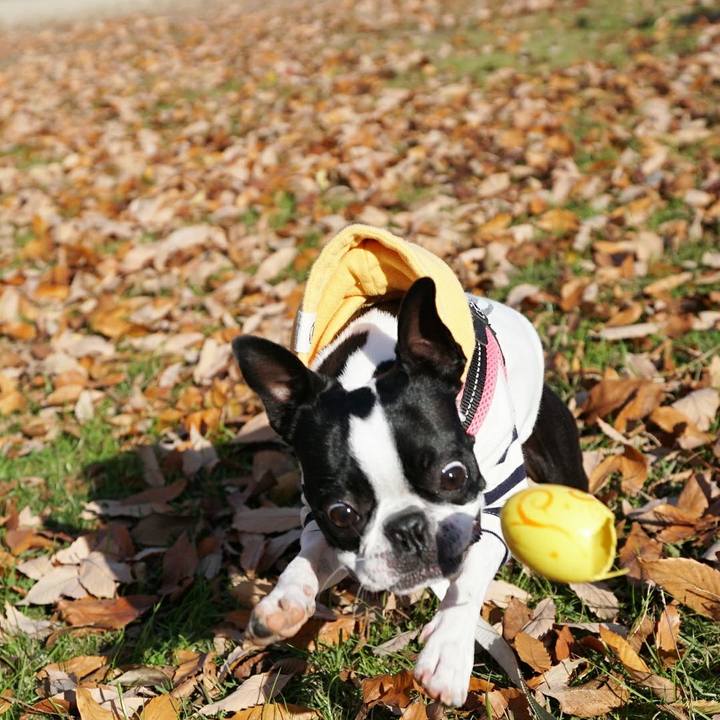 2b8c0110 9743 4510 94c6 a4419cda0c8c 1511426805257