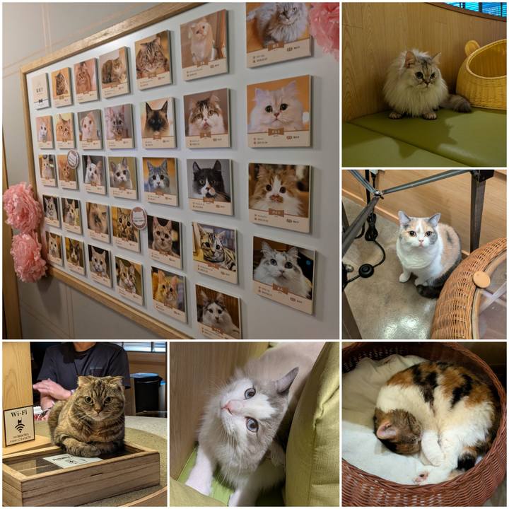 2b8c1b31 9537 4b9a a8d1 7e3b763bdea6 1726309995645