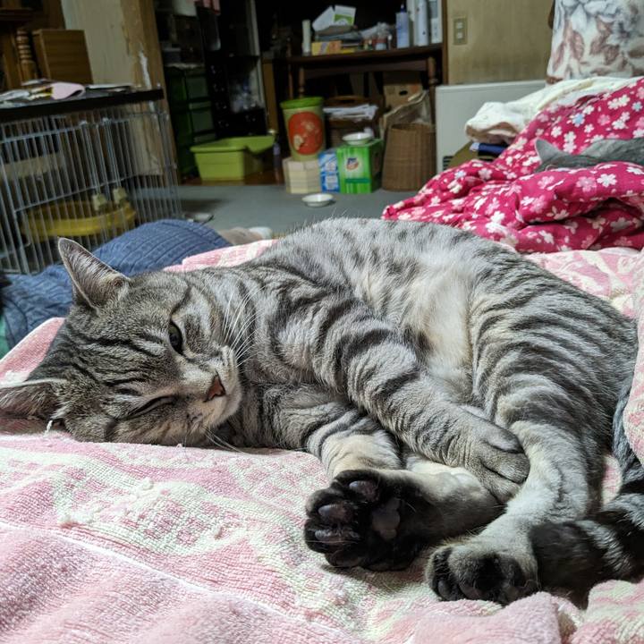 2b8c1ce5 7afd 4f5a 9c40 63964c52251b 1701696568821