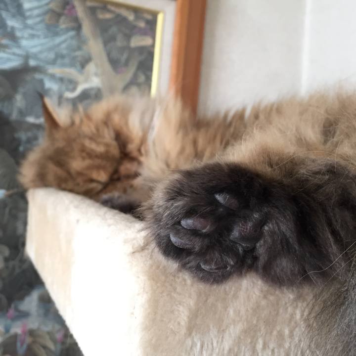 2b8c22e8 6ba3 48a6 8b2c 46cfa1e8a5af 1514460115946