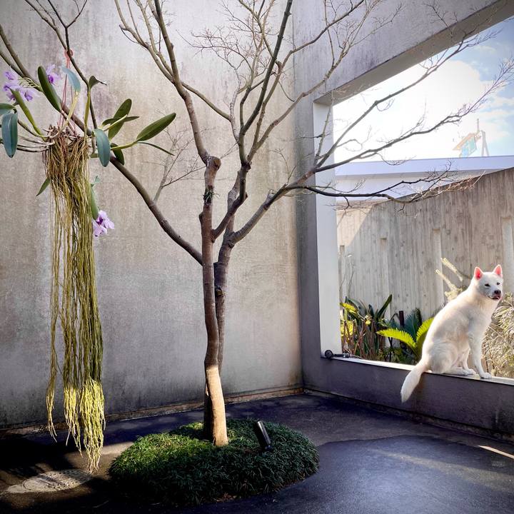 2b8c24a3 5b8c 4410 bcca 516fc3671a8b 1704800537091