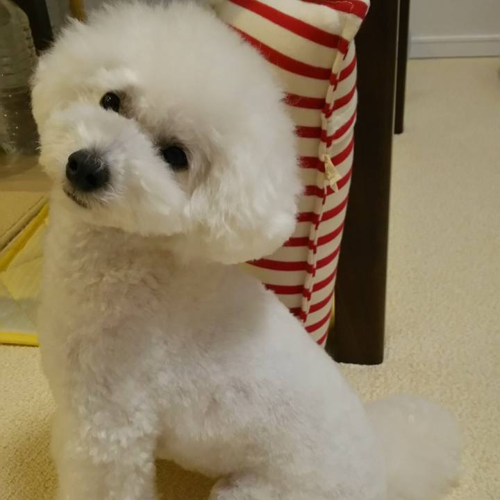 2b8c3fd5 225a 4c9a 92c0 95412535de5f 1515582772616