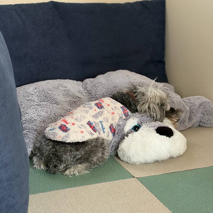 2b8c466f 40a5 4605 8d2e 55b6e4ccb61e 1773215735562