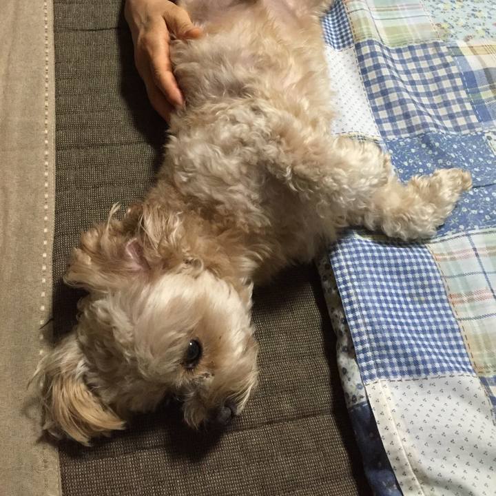 2b8cd5a3 6f68 467d 89f2 6a76f230ee50 1569130140104