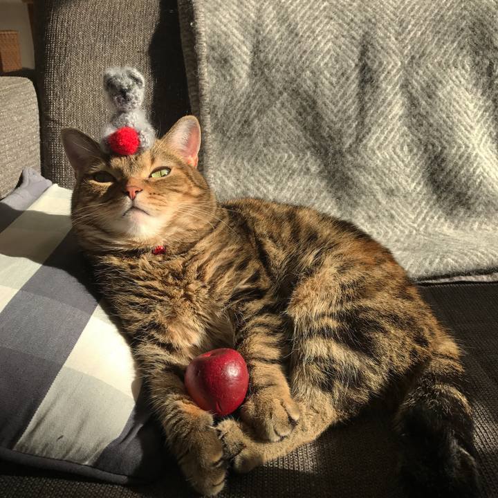 2b8ce250 e2b2 4b37 a644 4d00b1a1930c 1510897398033