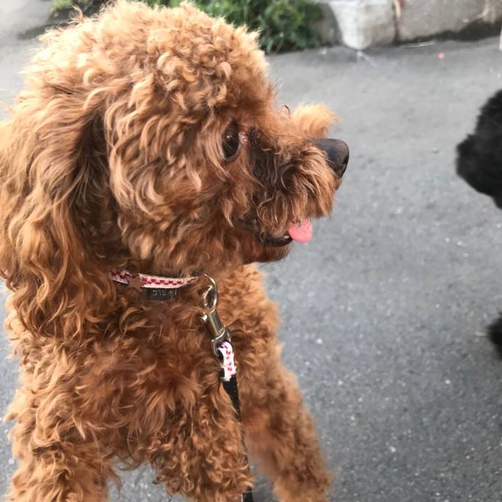 2b8cf374 9663 41e3 a9ba 8c8bf056fea0 1524062022694