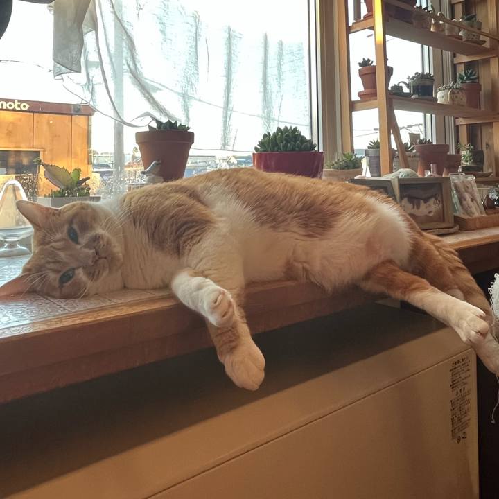 2b8d820c cc71 429b 8b51 d34bc3feecfa 1763244103713