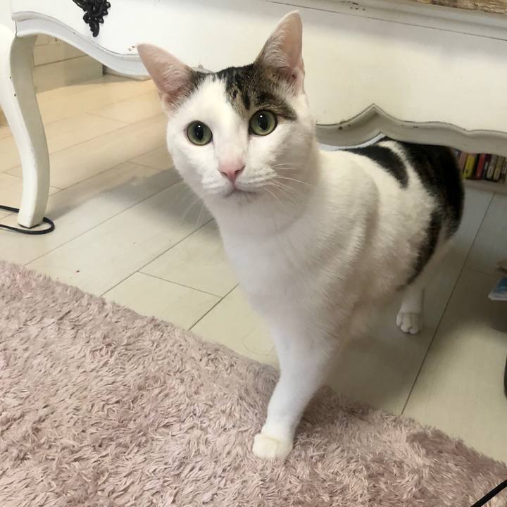 2b8ddc52 1477 493f a429 7dc4073a3585 1590540193500