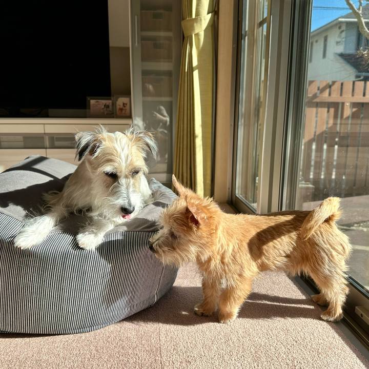 2b8de9f3 3c99 4c24 ae39 8a607152b94e 1706366694430