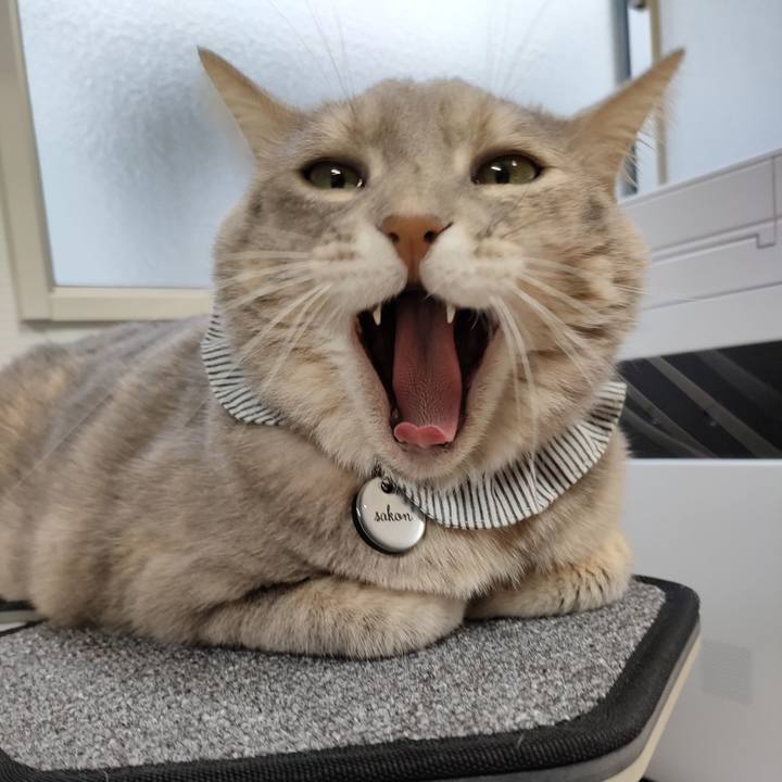 2b8deb9a 6b01 4f1a 9e56 88cd71a5115d 1670216691404