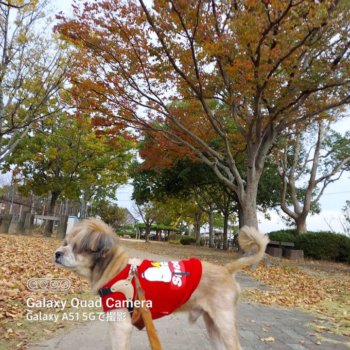 2b8dec6d 2aa5 4c91 99b5 65f2d3061b4b 1668822546861