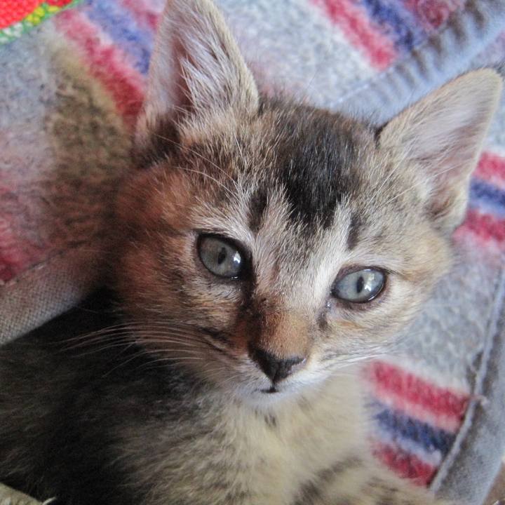 2b8df327 8cf4 41ca ae85 a15ffed8e3a6 1575506007208