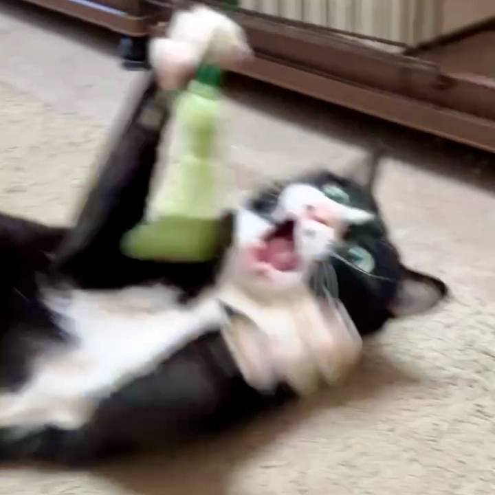 2b8e749c 5424 41c6 af56 77e6b0b138fc 1729223655263