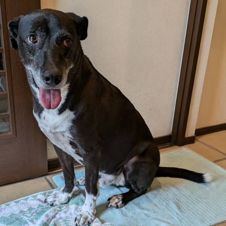 2b8e77e0 acb6 45e2 aab2 ae1fe193832f 1727137676617