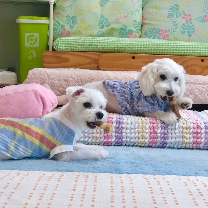 2b8e86e4 f93d 42cf 8138 d6d4865d6c17 1559692843227