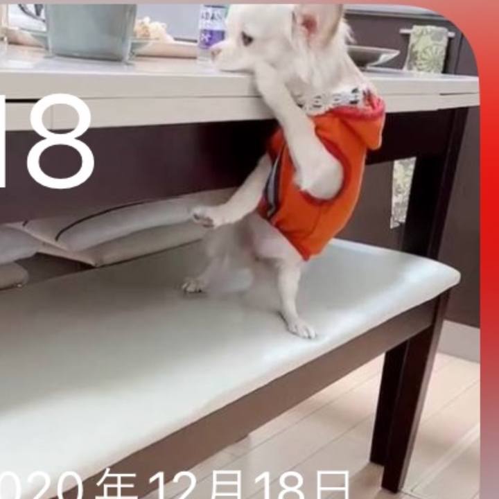 2b8eb2d8 f4d6 44f1 b26d 4f411c4d148b 1766052907585