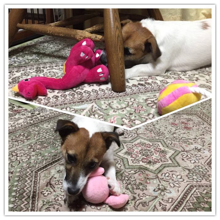 2b8ec2d4 9e43 4fff bd1d a125d7ffce69 1512132190957